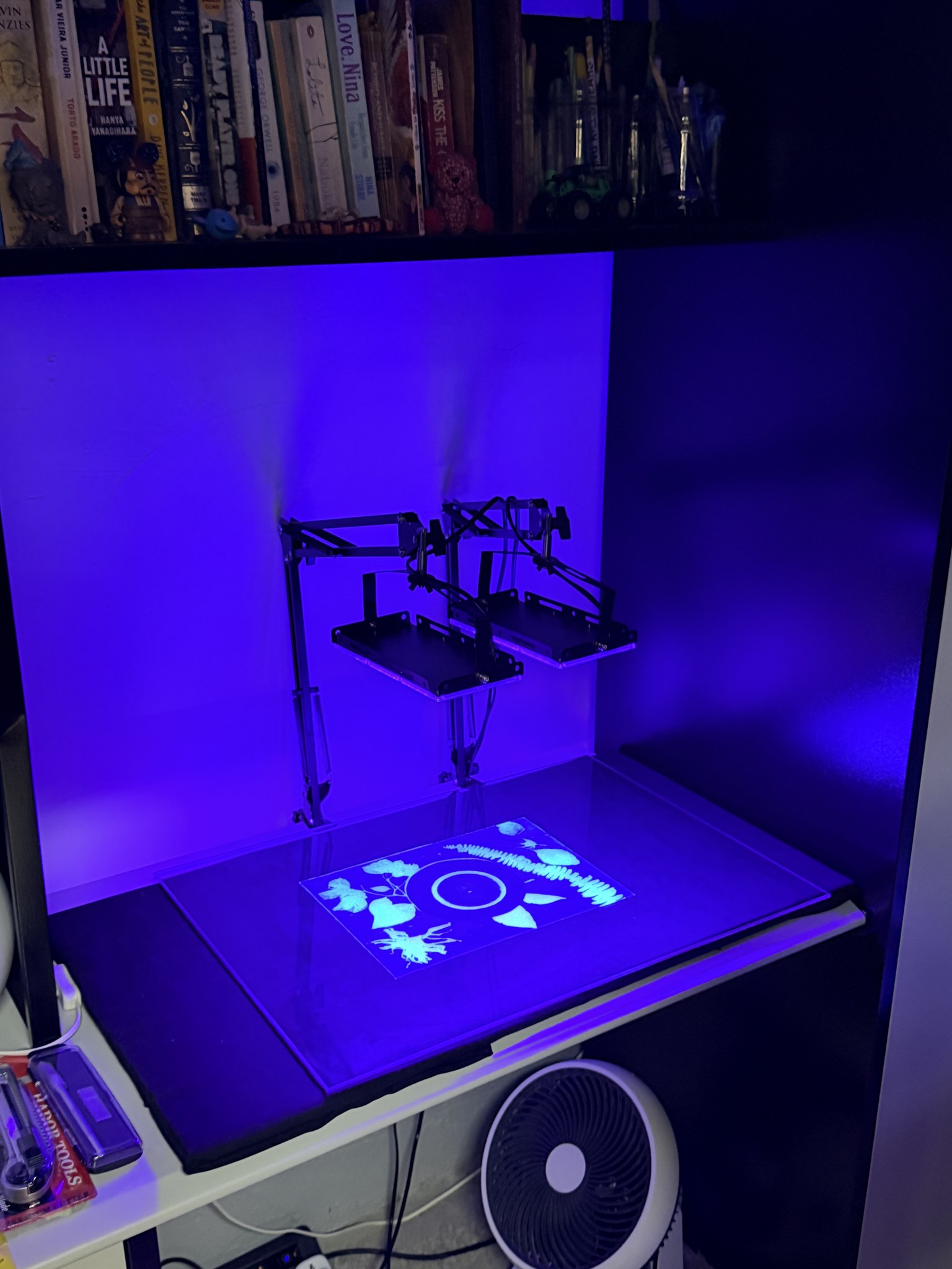 UV LED exposure under glass with botanical masks — cyanotype turning pale under blue light